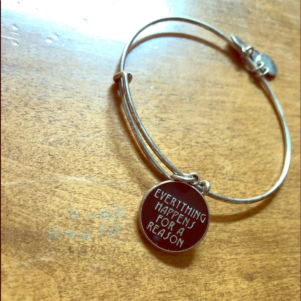 Alex and Ani bracelet - Silver with Black charm